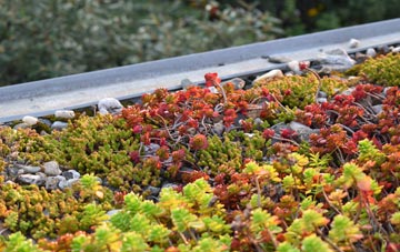 the cost of The Six Towns green roof installation
