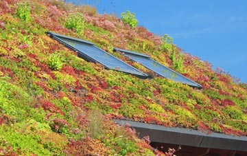 The Six Towns living roof systems