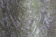 The Six Towns fibreglass roof work